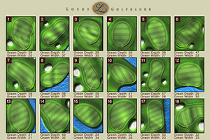 3D pinsheet sample