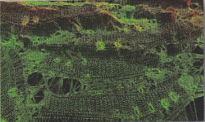 Turnberry Isle Golf Course, Florida - US